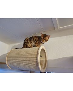 Katzen Sisalrolle mit und ohne Wandhalterung