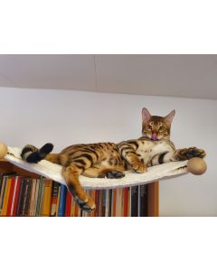 Katzen Hängematte für Wandmontage - extra gemütlich ohne Stellplatz